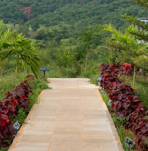 Stone pathway descending to the infinity pool