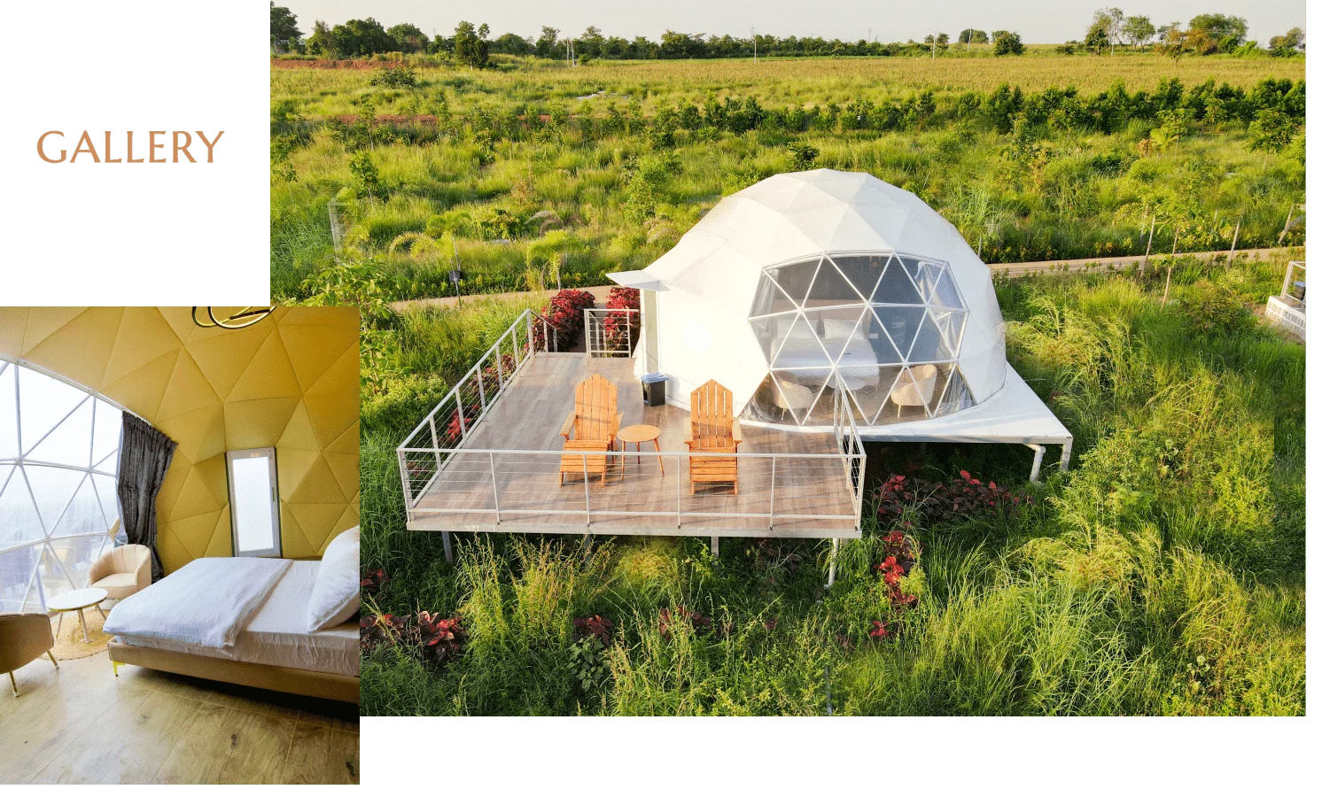 Dome on its deck in tall grass