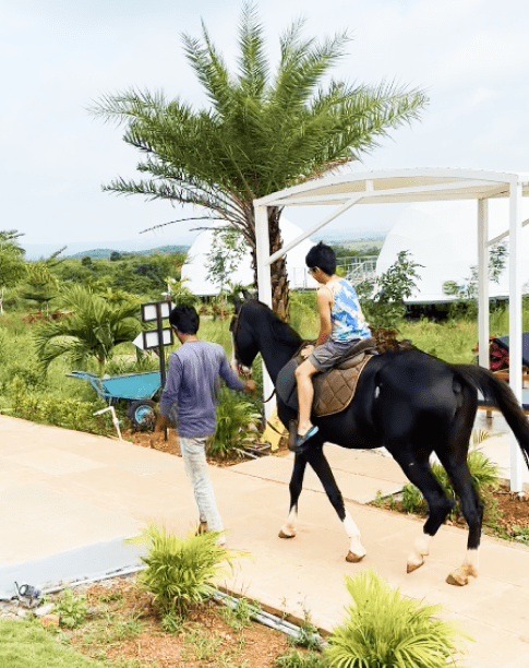 Horse Riding